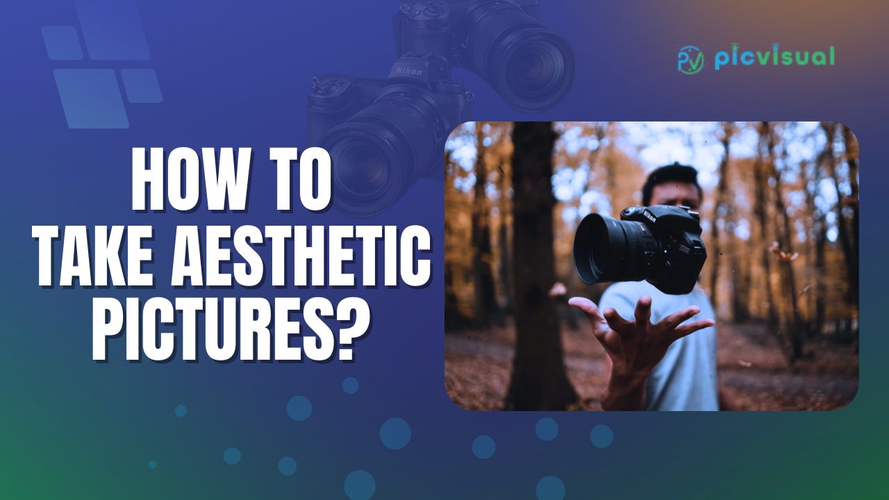 Aesthetic Photography: How To Take Aesthetic Pictures? 20 Practical Tips