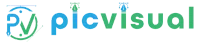 Pic Visual Logo